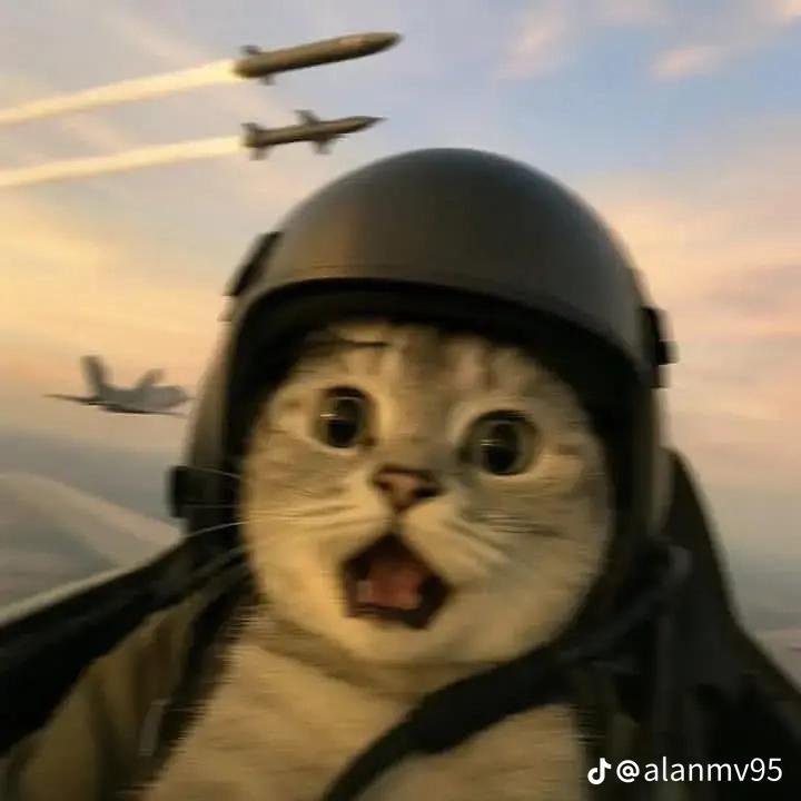 DIP-BoXサービス概要